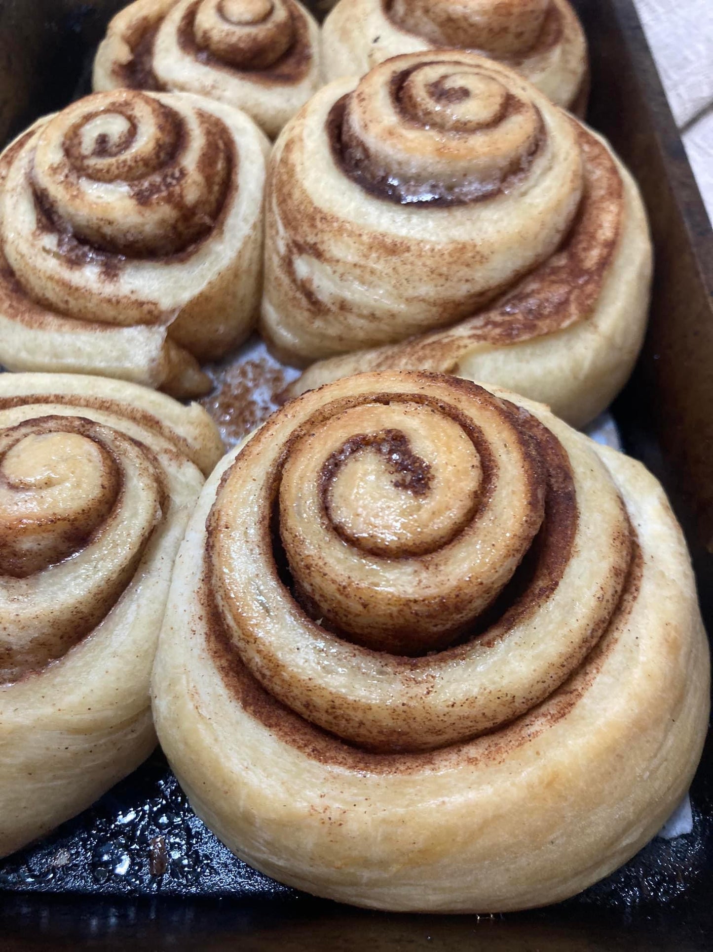 Brioche Sourdough Cinnamon Rolls